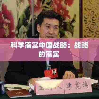科学落实中国战略：战略的落实 