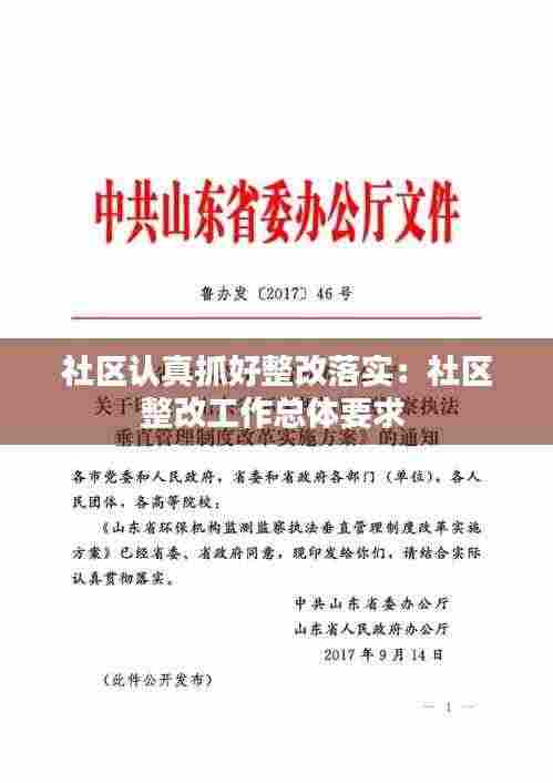 社区认真抓好整改落实:社区整改工作总体要求