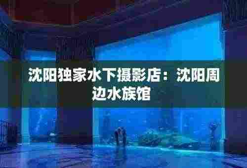 沈阳独家水下摄影店：沈阳周边水族馆 