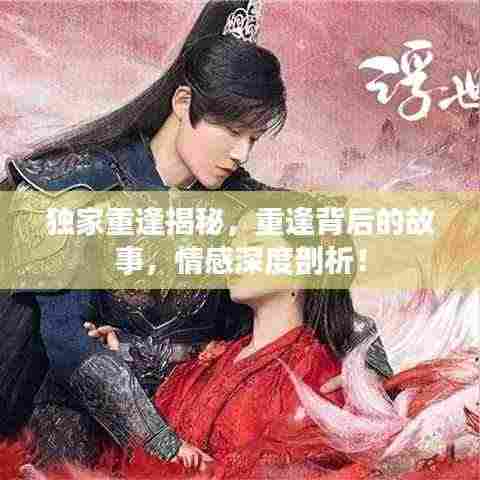独家重逢揭秘，重逢背后的故事，情感深度剖析！