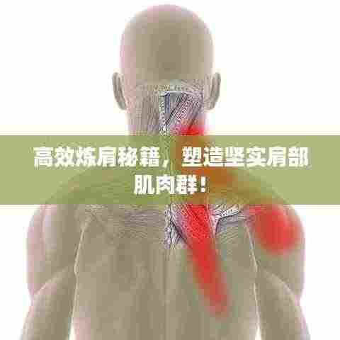 高效炼肩秘籍，塑造坚实肩部肌肉群！