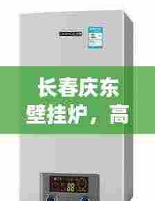 长春庆东壁挂炉，高效取暖，品质之选