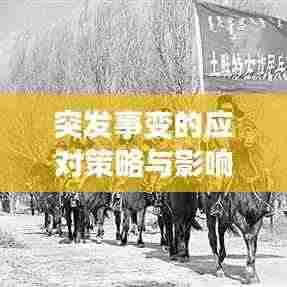 突发事变的应对策略与影响最小化方法