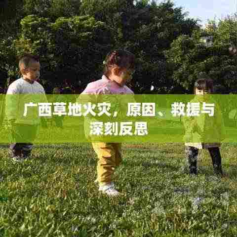 广西草地火灾，原因、救援与深刻反思