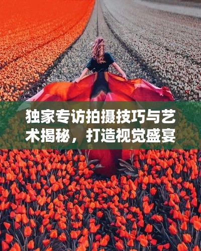 独家专访拍摄技巧与艺术揭秘，打造视觉盛宴的秘籍