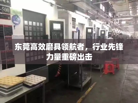东莞高效磨具领航者，行业先锋力量重磅出击