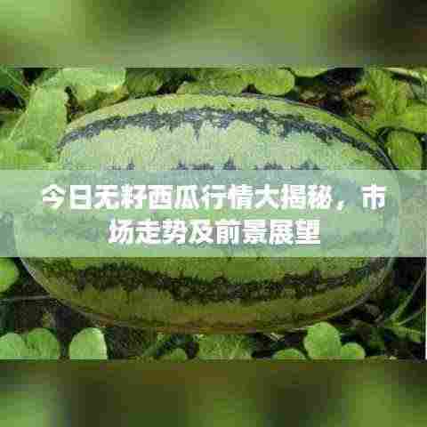 今日无籽西瓜行情大揭秘，市场走势及前景展望