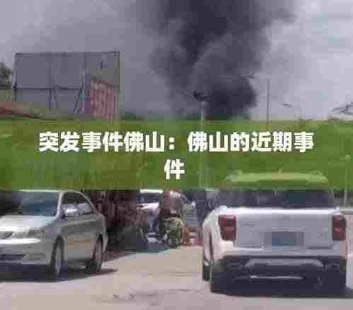 突发事件佛山：佛山的近期事件 