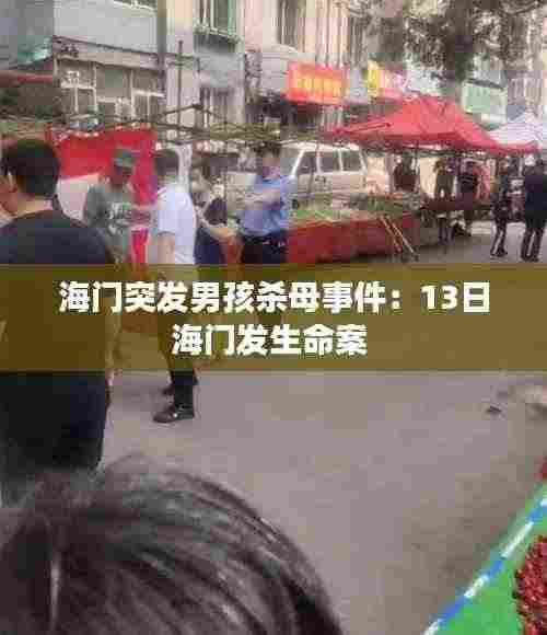 海门突发男孩杀母事件：13日海门发生命案 