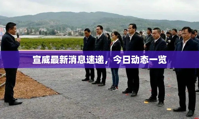 宣威最新消息速递，今日动态一览