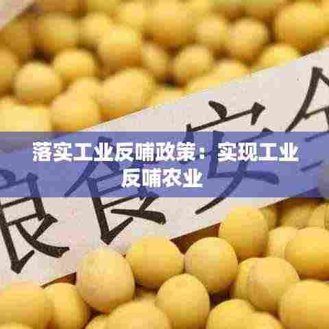落实工业反哺政策：实现工业反哺农业 