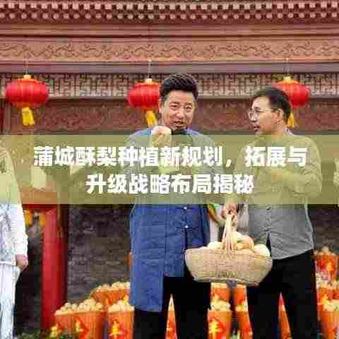 蒲城酥梨种植新规划，拓展与升级战略布局揭秘
