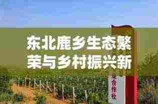 东北鹿乡生态繁荣与乡村振兴新篇章亮相新闻头条！