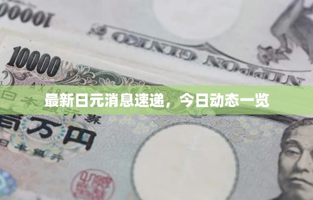 最新日元消息速递，今日动态一览