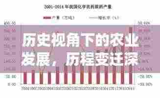 历史视角下的农业发展，历程变迁深度解析