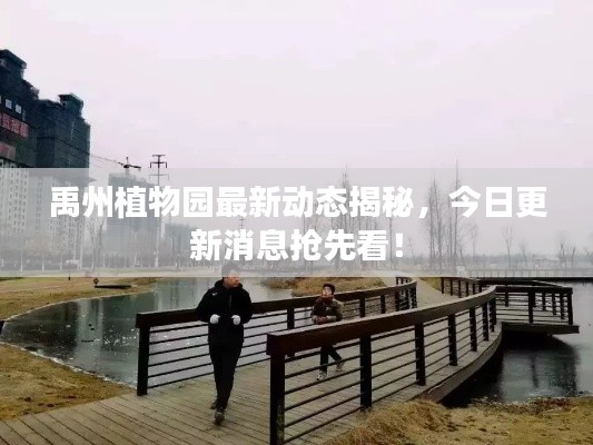 禹州植物园最新动态揭秘，今日更新消息抢先看！