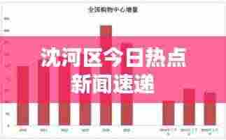 沈河区今日热点新闻速递