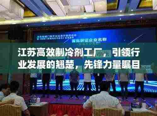 一枝独秀 第3页