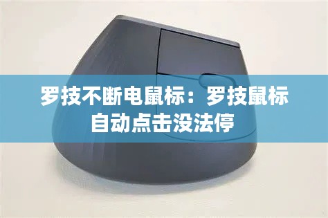 坌鸟先飞 第4页