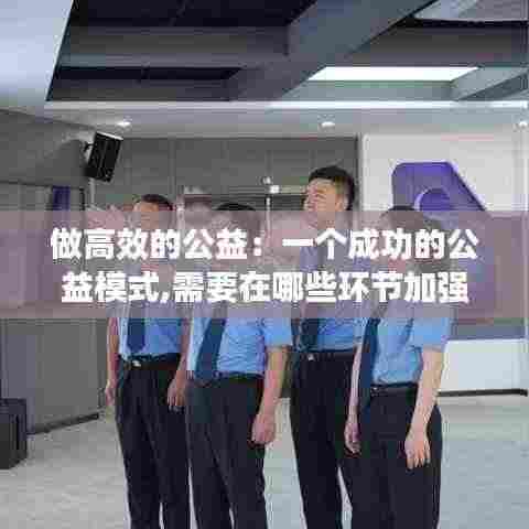 做高效的公益：一个成功的公益模式,需要在哪些环节加强执行力度 