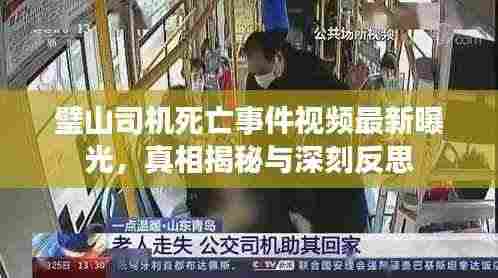 璧山司机死亡事件视频最新曝光，真相揭秘与深刻反思