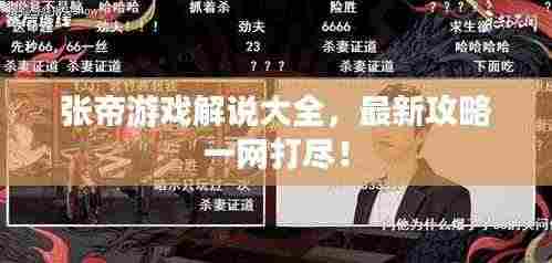 张帝游戏解说大全，最新攻略一网打尽！