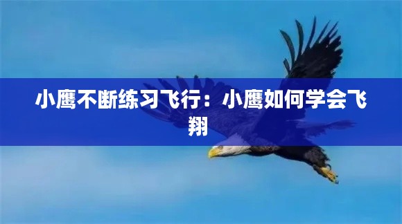 小鹰不断练习飞行：小鹰如何学会飞翔 