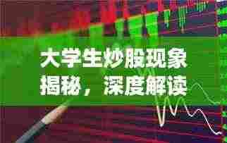 大学生炒股现象揭秘，深度解读股市风云中的校园新势力
