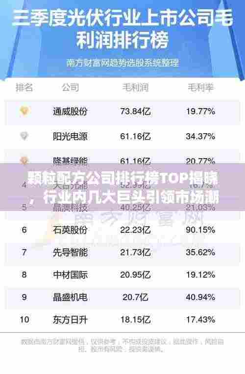 颗粒配方公司排行榜TOP揭晓，行业内几大巨头引领市场潮流