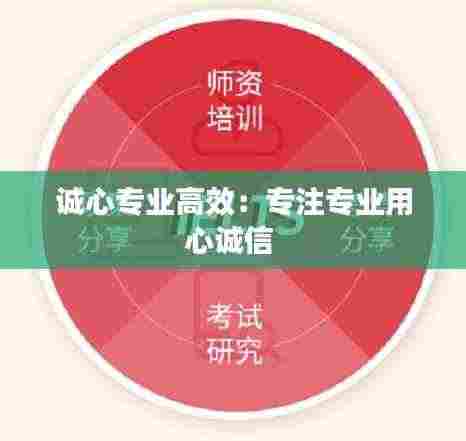 诚心专业高效：专注专业用心诚信 