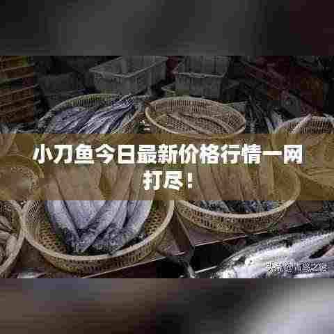 蹉跎岁月 第3页