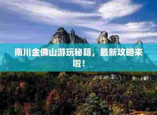 南川金佛山游玩秘籍，最新攻略来啦！