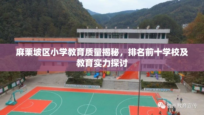 麻栗坡区小学教育质量揭秘，排名前十学校及教育实力探讨