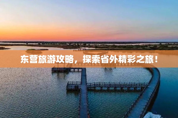 东营旅游攻略，探索省外精彩之旅！