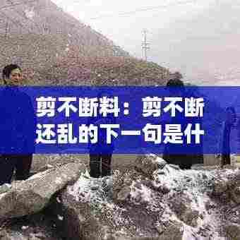 剪不断料：剪不断还乱的下一句是什么 