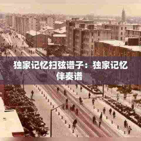 独家记忆扫弦谱子：独家记忆伴奏谱 