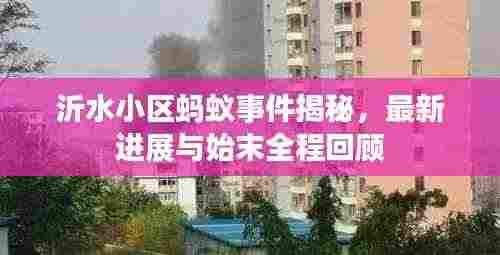 沂水小区蚂蚁事件揭秘，最新进展与始末全程回顾