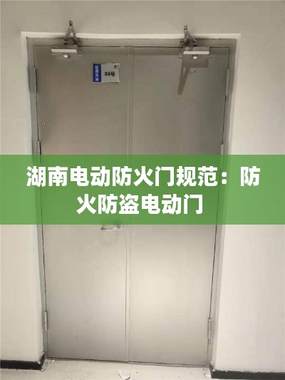 湖南电动防火门规范：防火防盗电动门 