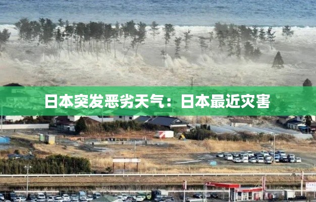 定谋贵决 第3页