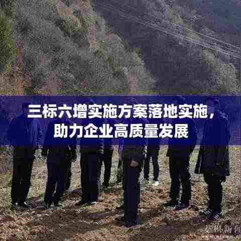 三标六增实施方案落地实施，助力企业高质量发展