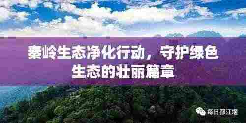 秦岭生态净化行动，守护绿色生态的壮丽篇章