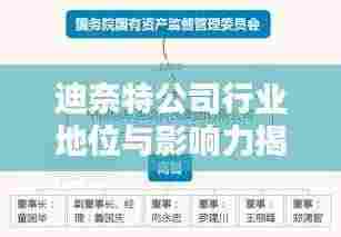 迪奈特公司行业地位与影响力揭秘，深度解析排名数据