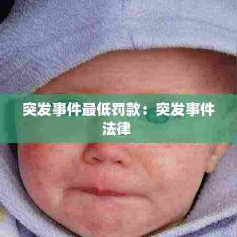 突发事件最低罚款：突发事件法律 