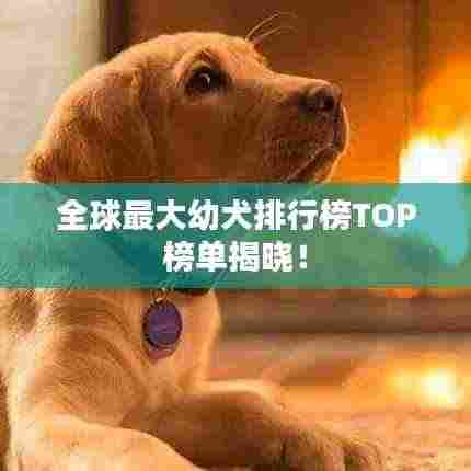 全球最大幼犬排行榜TOP榜单揭晓！