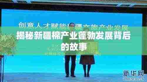 揭秘新疆棉产业蓬勃发展背后的故事