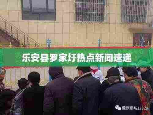 乐安县罗家圩热点新闻速递