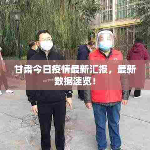 甘肃今日疫情最新汇报，最新数据速览！