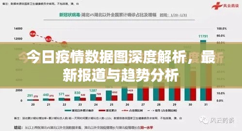 今日疫情数据图深度解析，最新报道与趋势分析