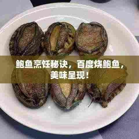 鲍鱼烹饪秘诀，百度烧鲍鱼，美味呈现！