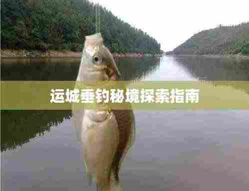 运城垂钓秘境探索指南